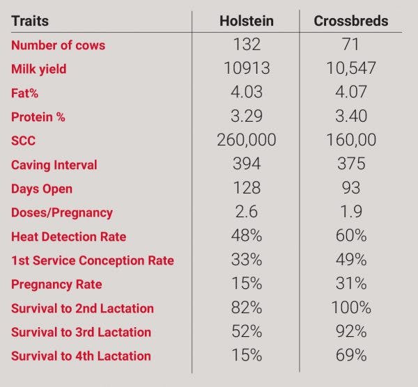 output-systems-traits-table-holsteins-crossbreds